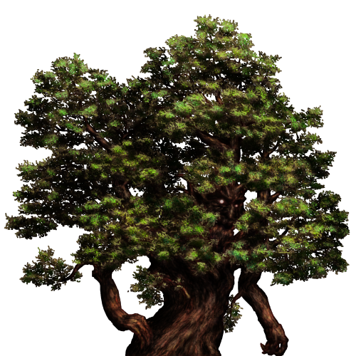 Abnormal_Bonsai.png