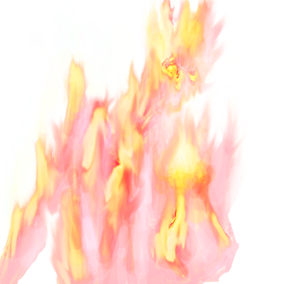 fireguardian transp.png