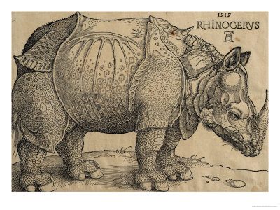 duerer-albrecht-rhinoceros-1515-etching.jpg