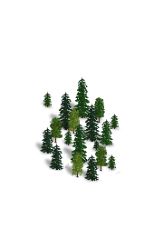 forest.png