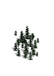 dforest.png