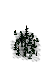 dforest_160.png