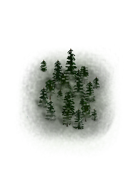 new forest.png