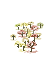 forest-fall-leaves.png