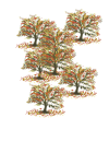 forest-fall3.png