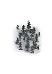 new forest.png
