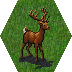 stag6_ongrass.png