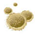 sm-craters-sand.png