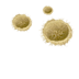 sm-craters-sand-3.png