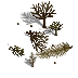 fallen-trees.png