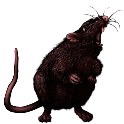 rat-t.png