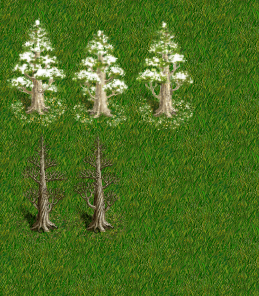 trees.png