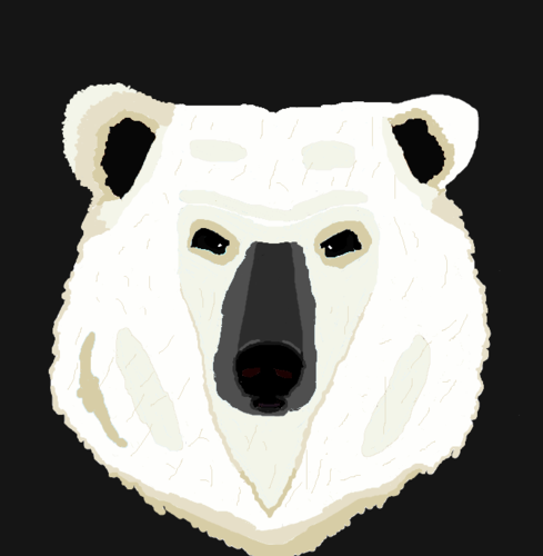 polarbear.png