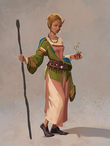 desert-elves_sun-shaman.jpg