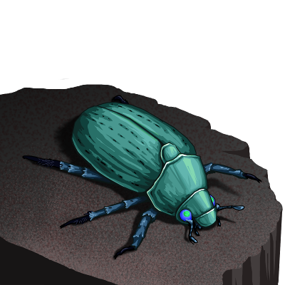 lunar_bug.png