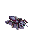 ant.png