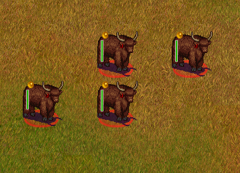 pasture
