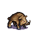 boar.png