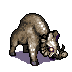 boar-alpha.png