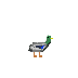 Ente.png